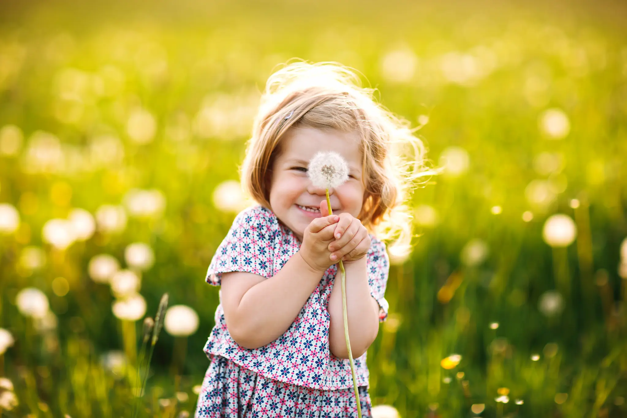 Little girl with a big smile holding a dandelion.